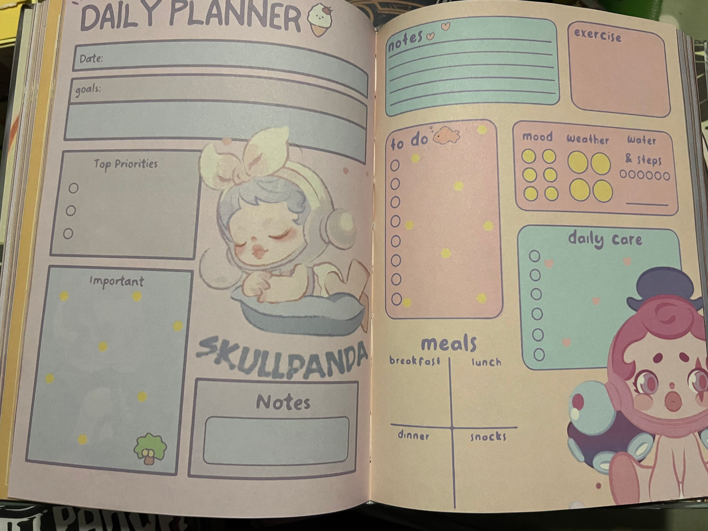 Skullpanda A5 hardback notebooks