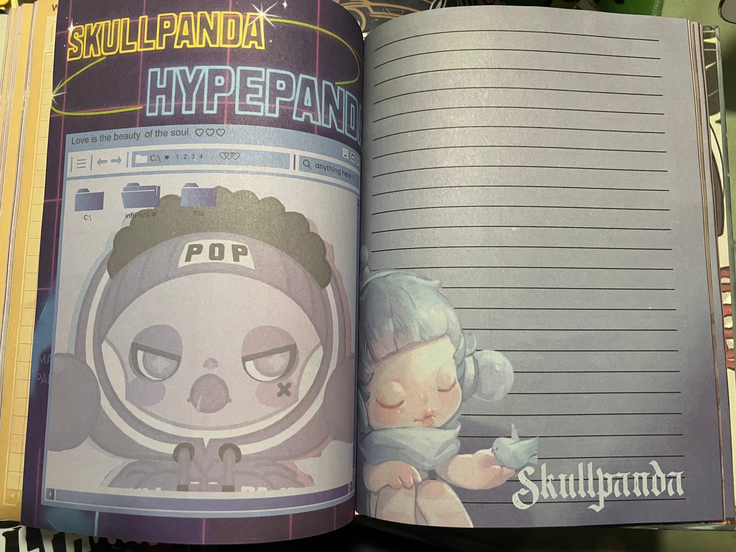 Skullpanda A5 hardback notebooks