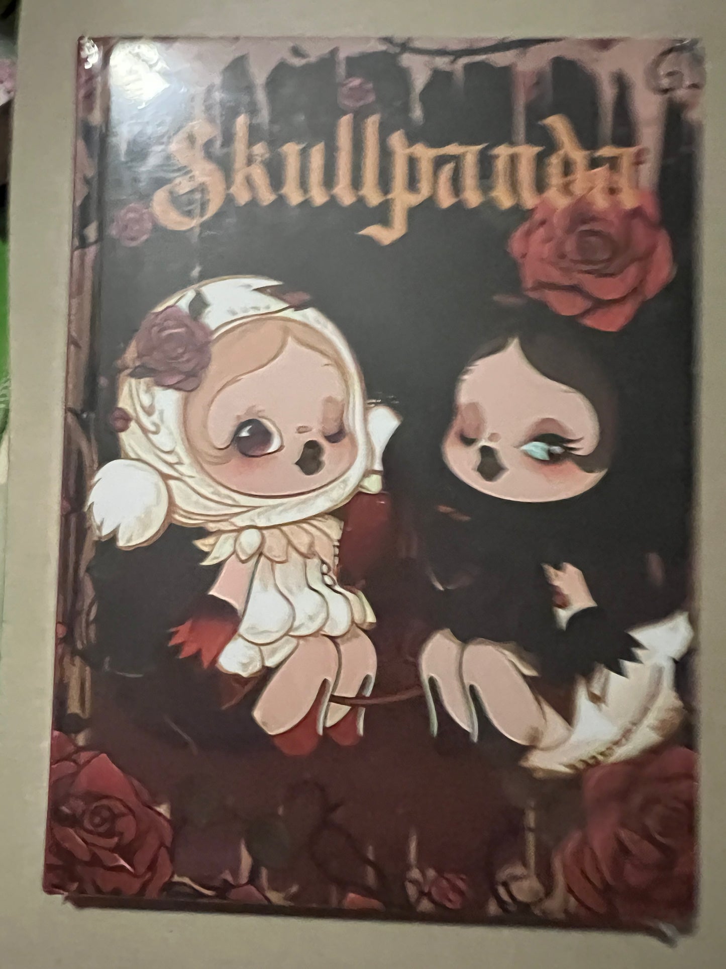 Skullpanda A5 hardback notebooks
