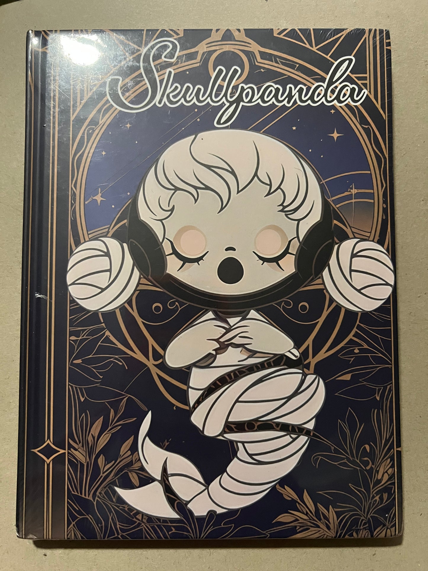 Skullpanda A5 hardback notebooks