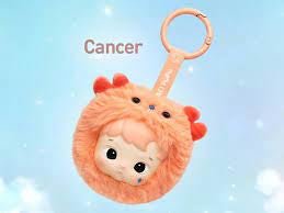 Hacipupu the constellation plush - open boxes